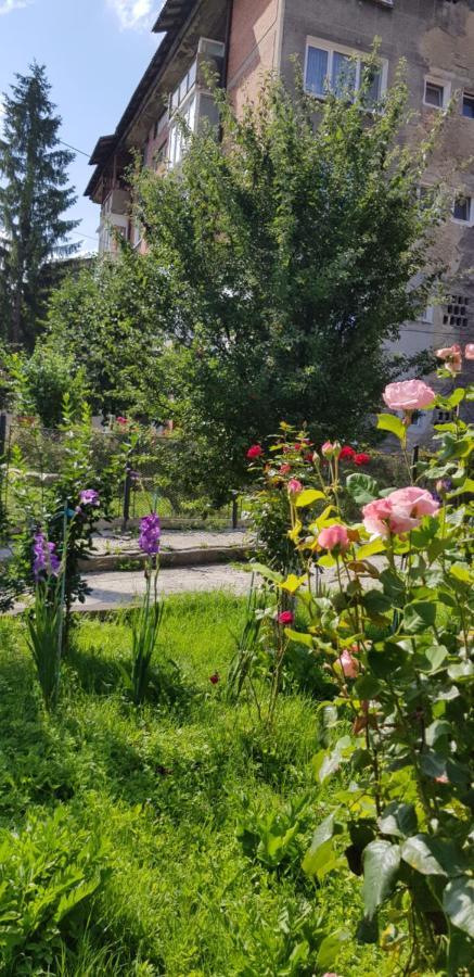 La Mihai Lupeni  Buitenkant foto